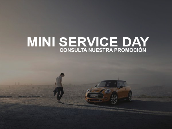 Mini service day